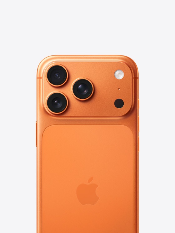iPhone 17 Pro Max Back Cover_0